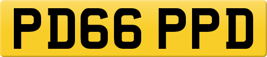 PD66PPD